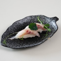 NIGIRI SUZUKI*