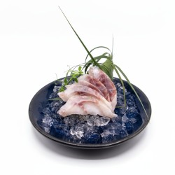 SASHIMI BRANZINO*