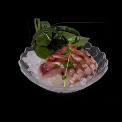SASHIMI HAMACHI*